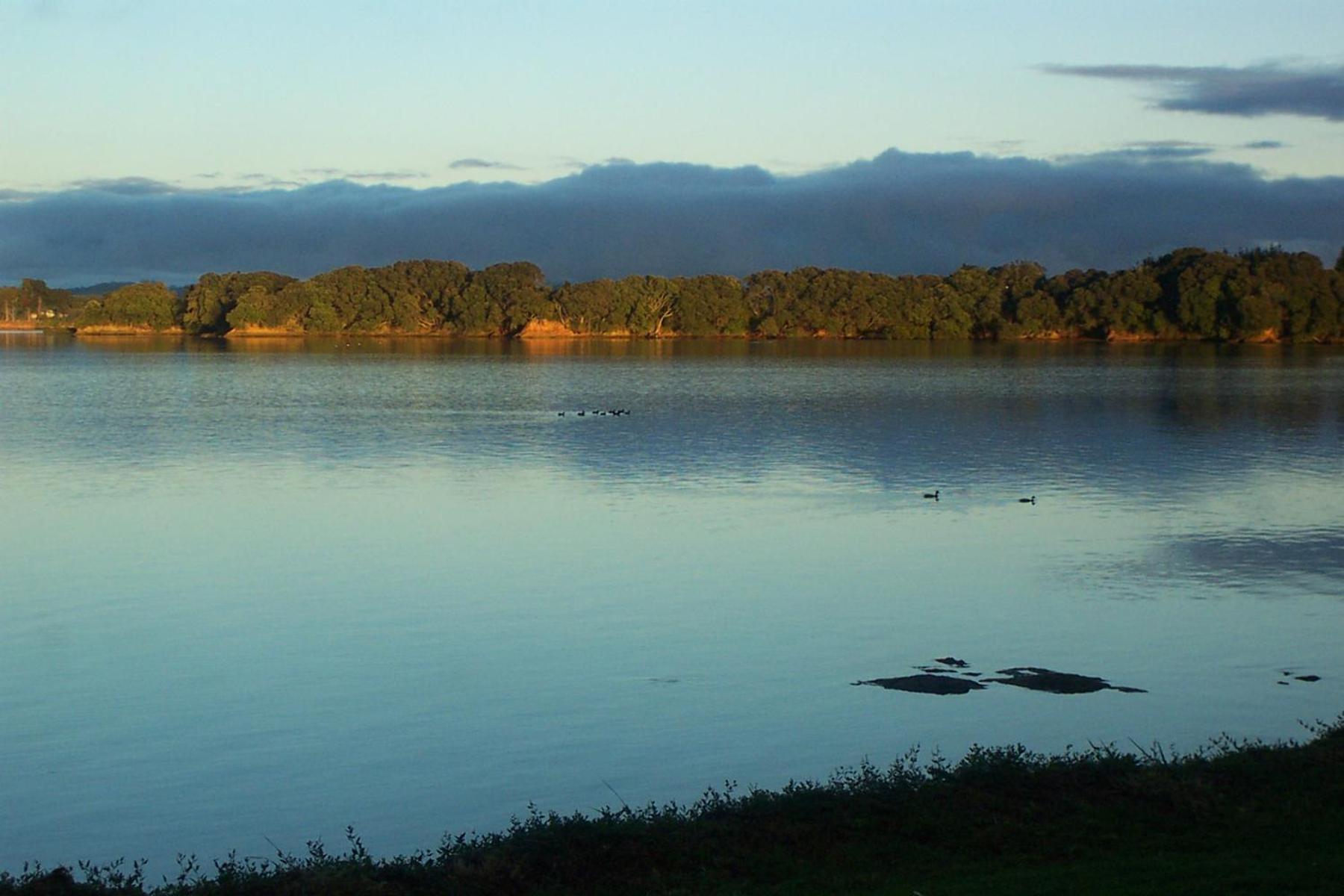 Absolute Waterfront Serenity Near Auckland Clarks Beach Eksteriør bilde